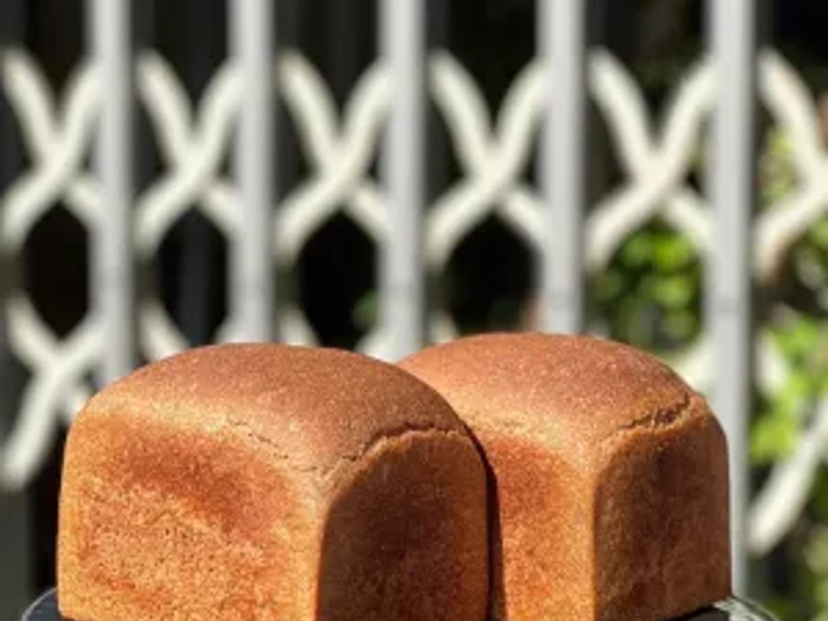 Bánh mì sandwich sourdough 100% nguyên cám