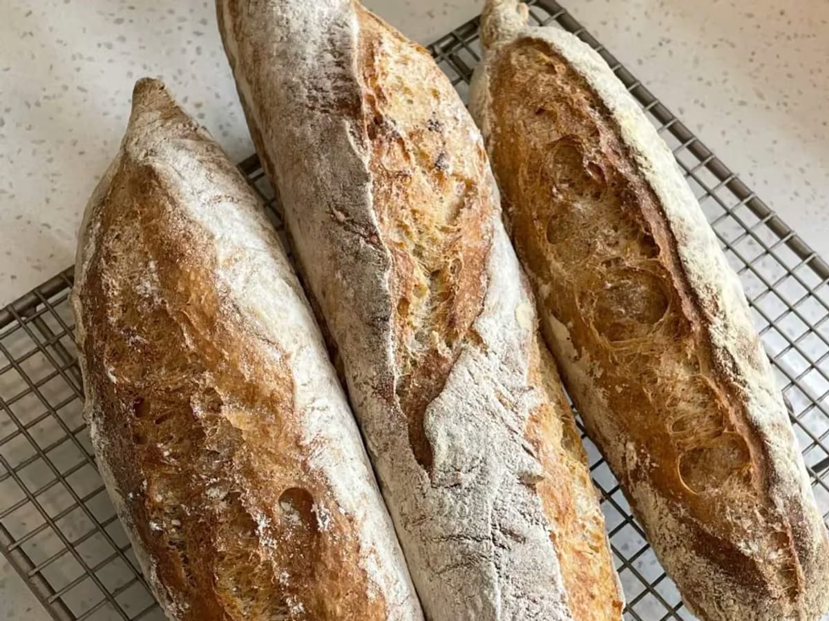 Baguette sourdough lớn