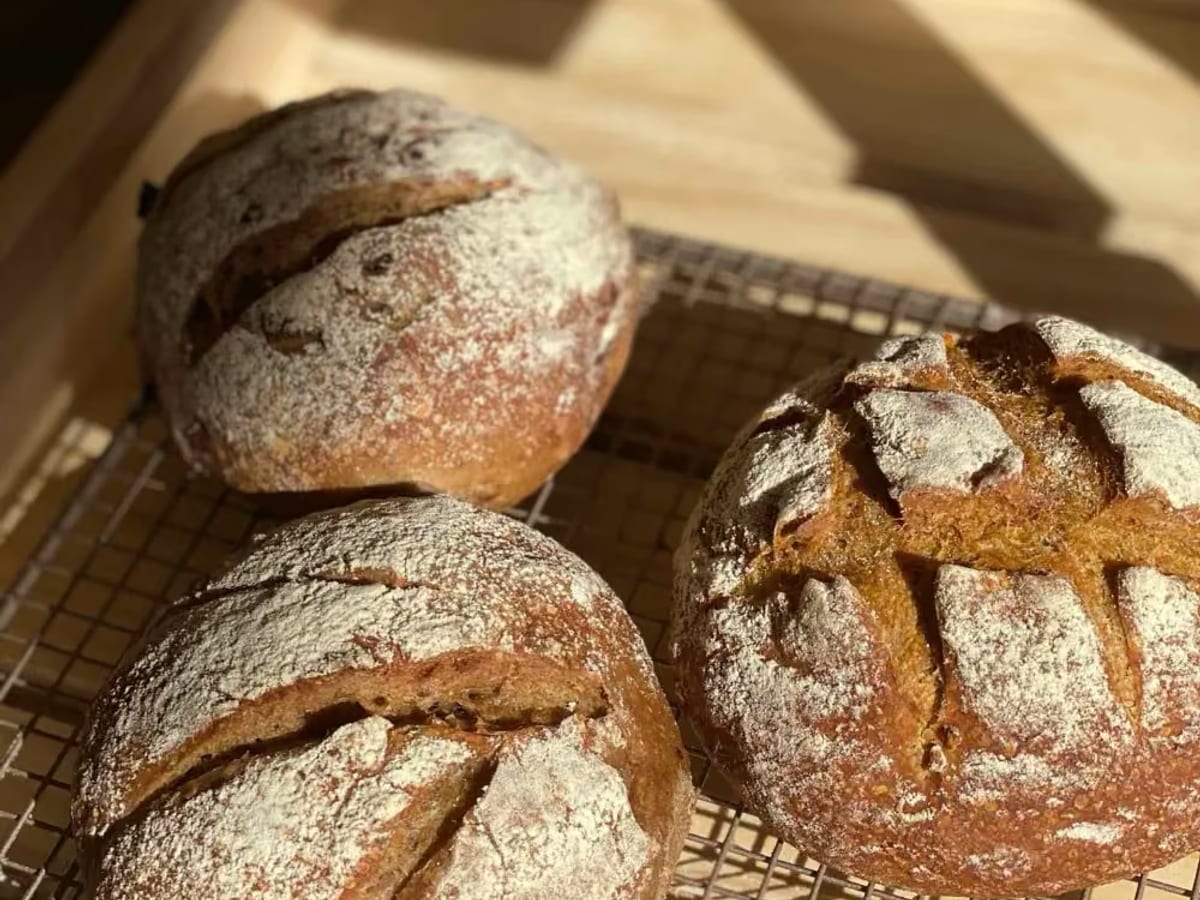 Bánh tròn sourdough nguyên cám