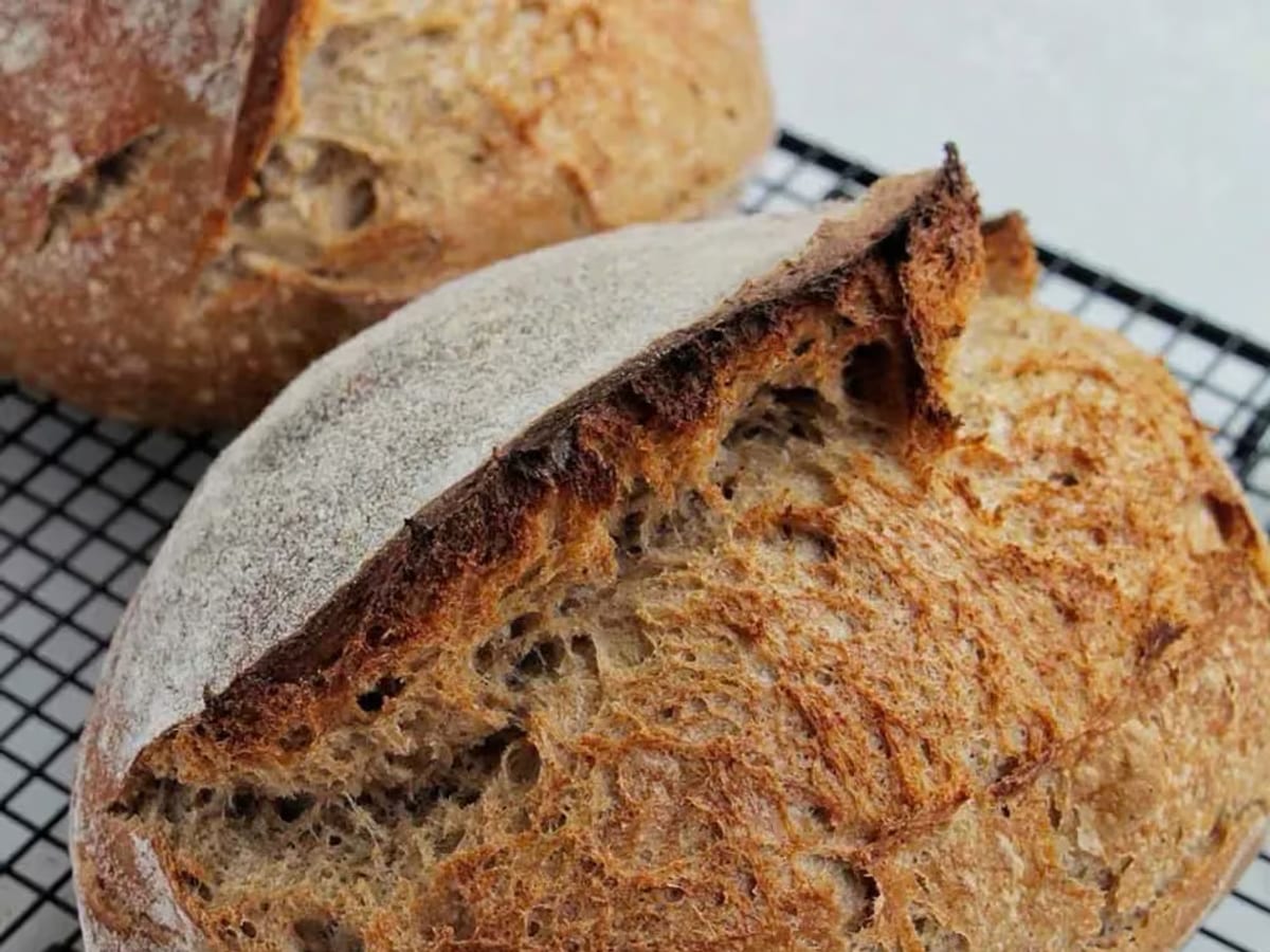Bánh mì sourdough nguyên cám